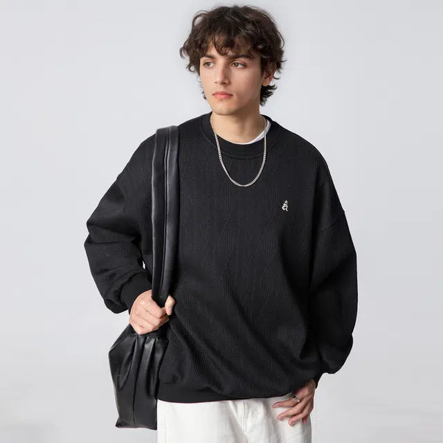 金盾 春秋季男外套套头衫复古字母秋季款圆领刺绣卫衣 男款