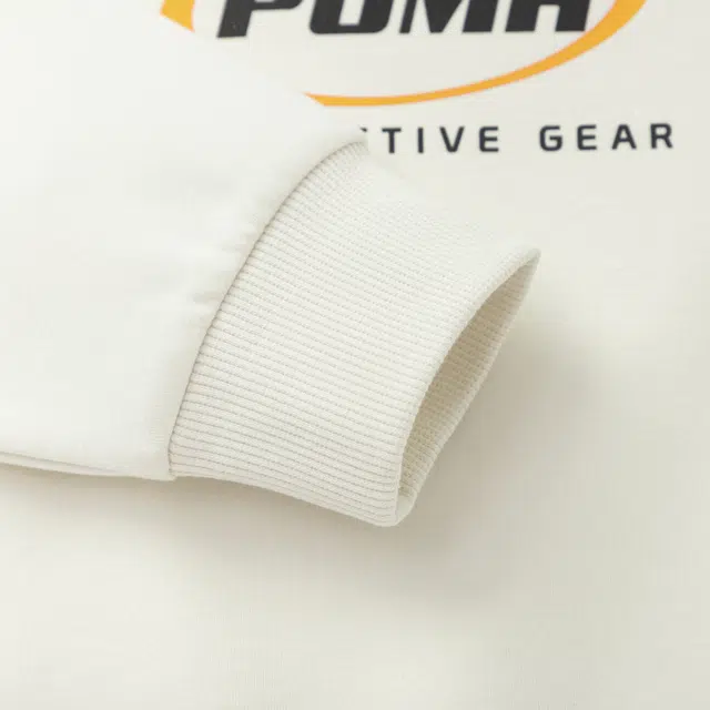 PUMA 2