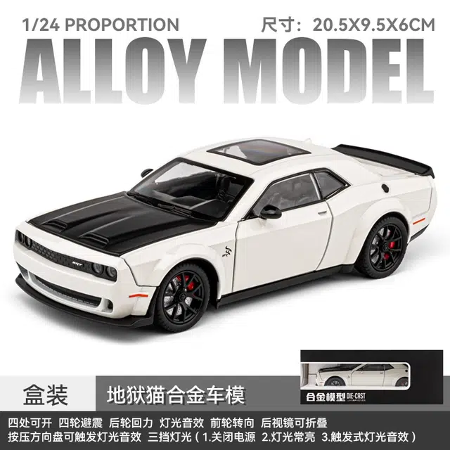 TY MODELS