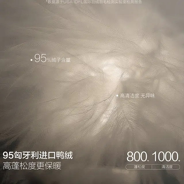 PEACEBIRD MEN 0D Down Jacket