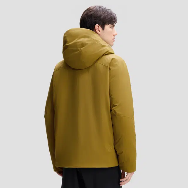 DESCENTE DUALIS