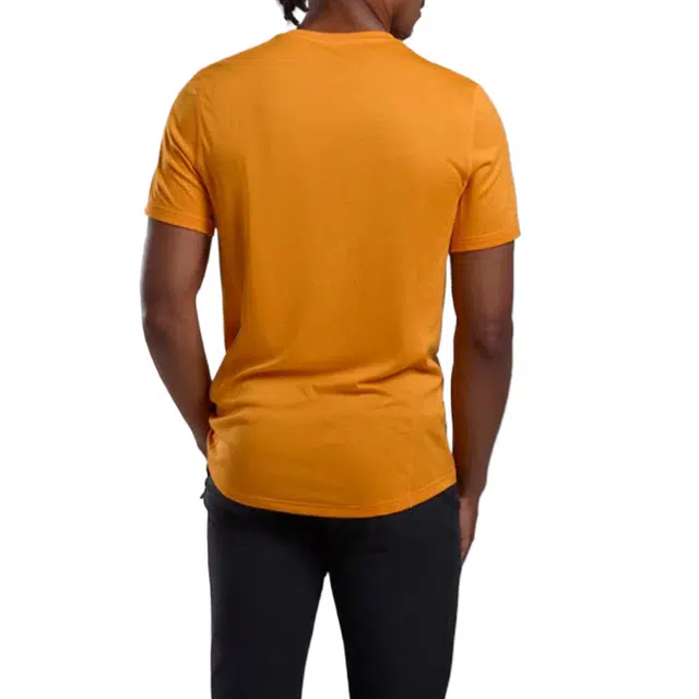 Montane Dart T