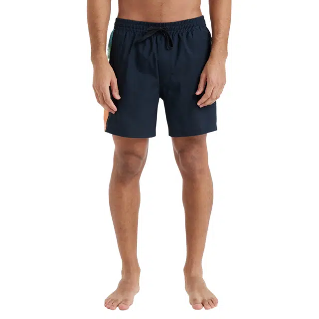 Quiksilver Everyday Holmes