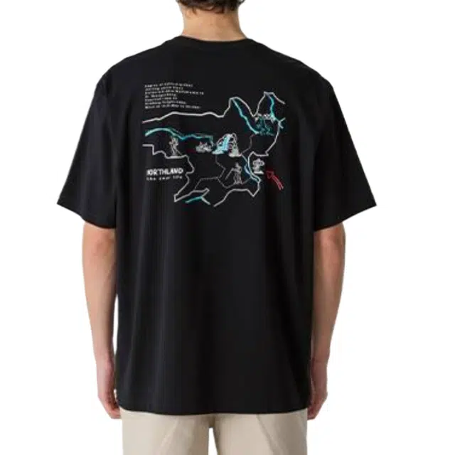 NORTHLAND PROFESSIONAL T
