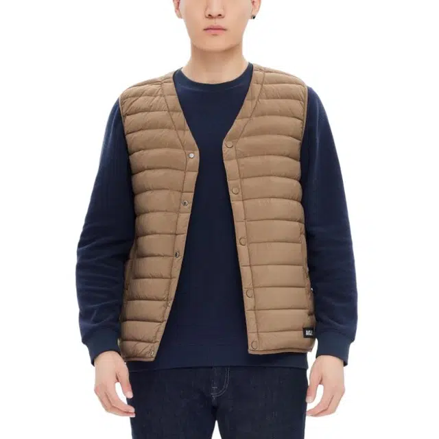 AIGLE