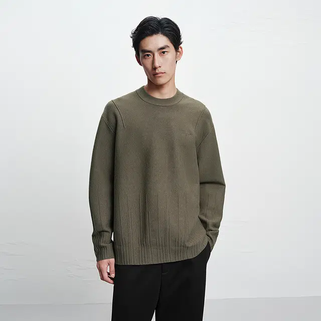 PEACEBIRD MEN Pullover Sweater