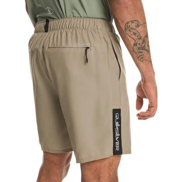 Quiksilver OmniTraining17"