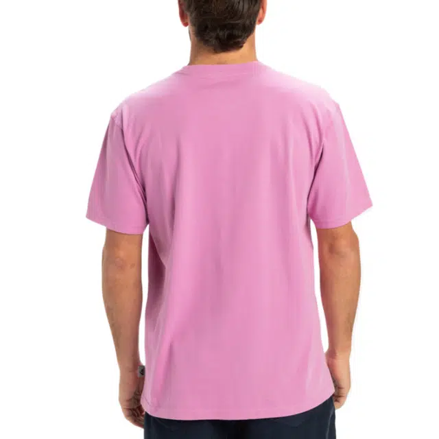 Quiksilver Salt Water T