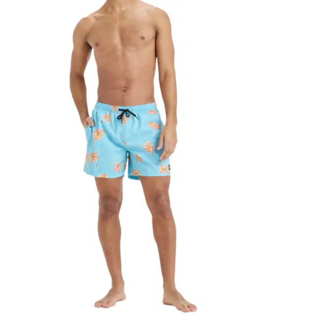 Quiksilver Everyday Straight