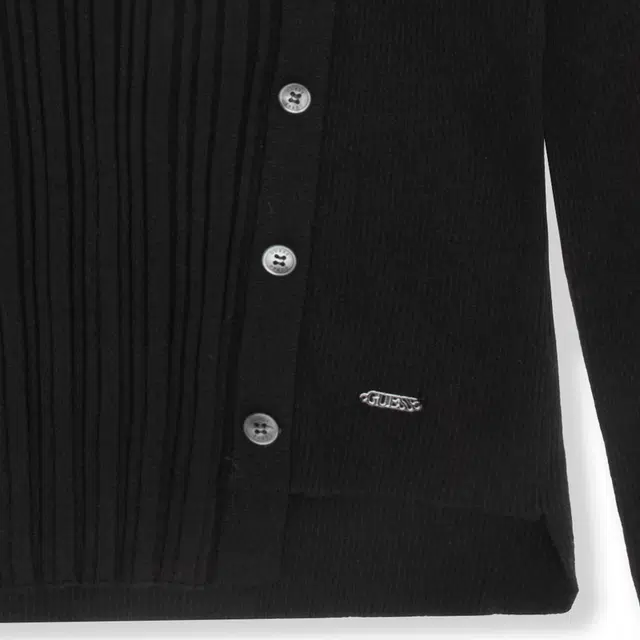 GUESS v