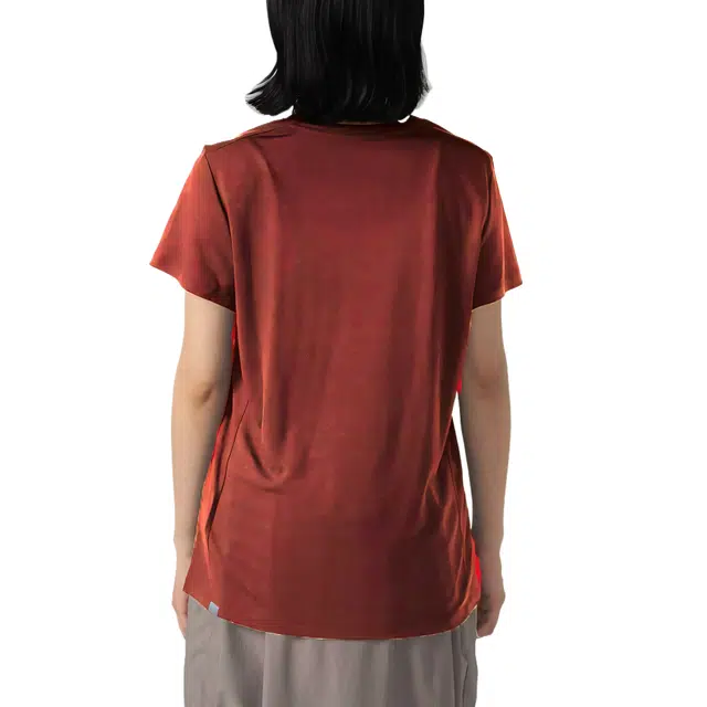 Houdini T
