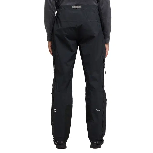 HAGLFS ROCMonoProof