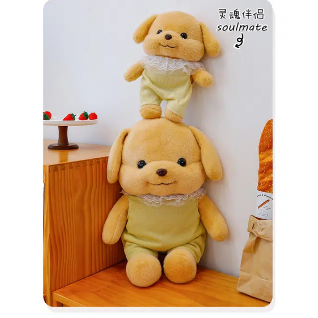 WADORN 20cm35cm45cm55cm