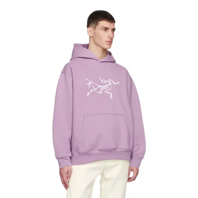 Arcteryx x PALACE Logo