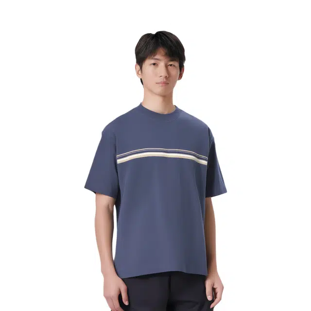 Hollister T