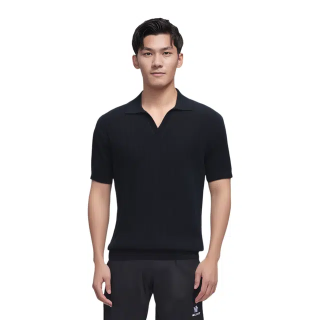 Massimo Dutti VPolo