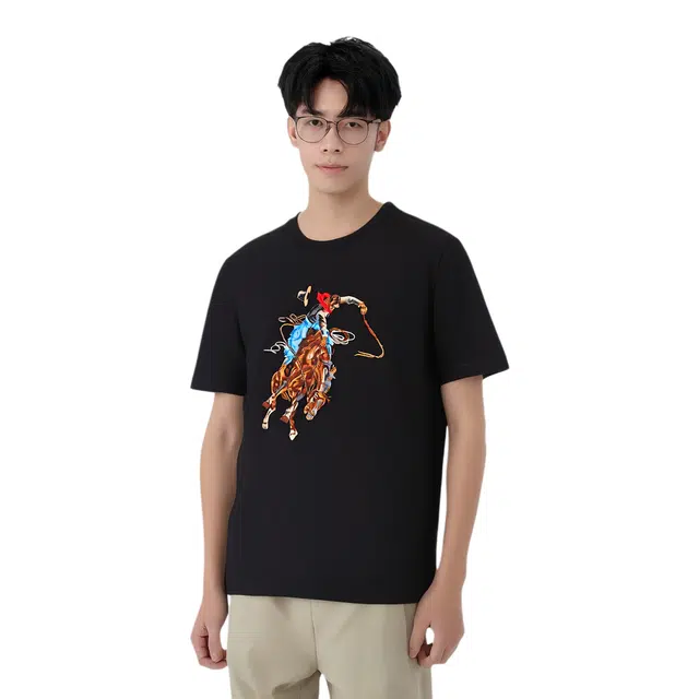 Cavalli Class T