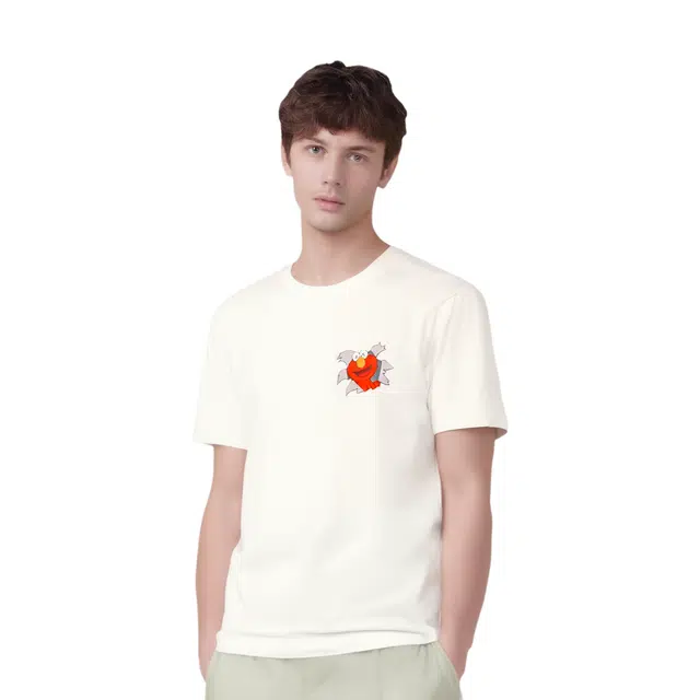 UNIQLO x kaws x sesame street T