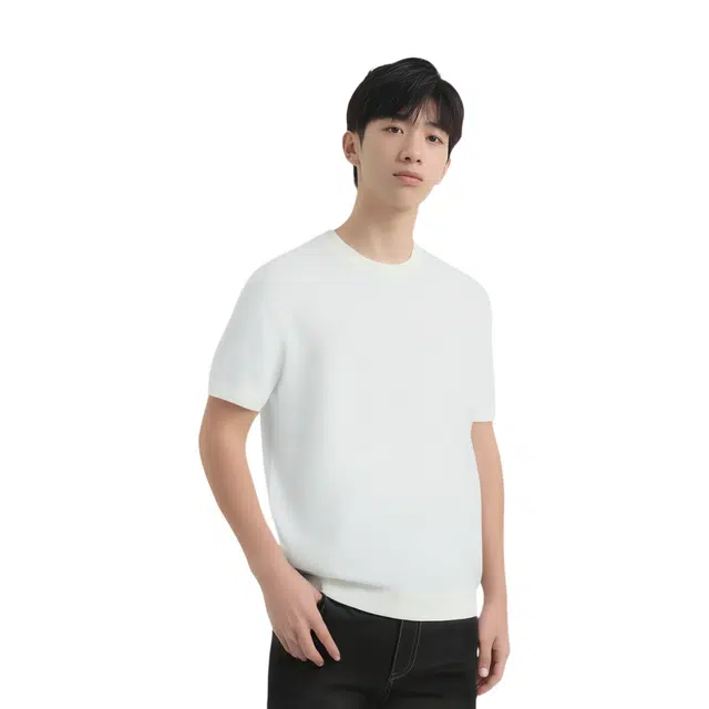 THEORY T