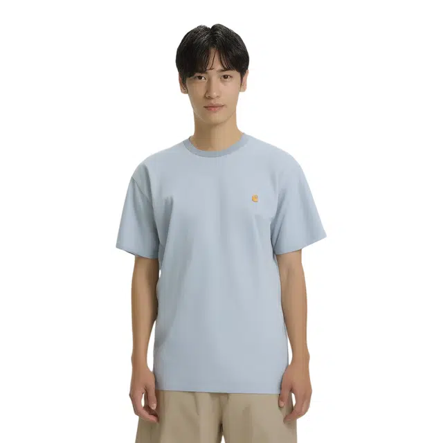 Carhartt WIP SS23 Remastered LogoT