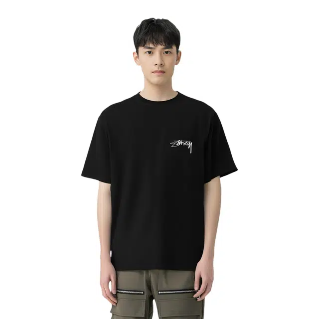 Stussy Arachnid Tee Pigment Dyed T