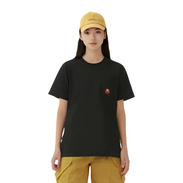 UNIQLO x SESAME STREET x KAWS T