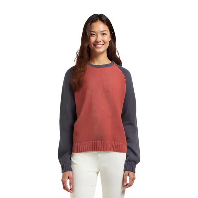Stussy SS25 COLORBLOCKED RAGLAN KNIT CREW