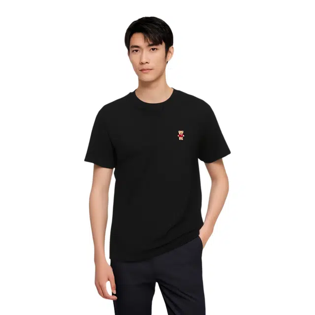 NOISY TEDDY T