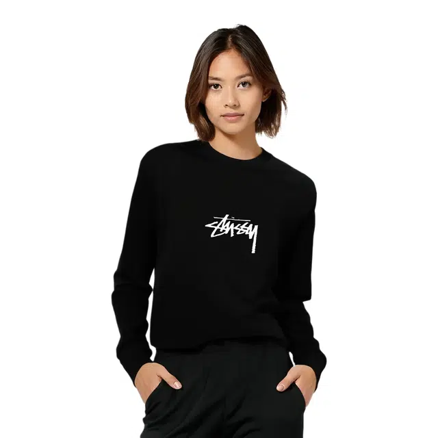 Stussy FW23 SMALL STOCK LS TEE PIGMENT DYED logoT