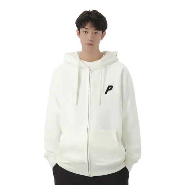PALACE FW23 FELT P ZIP HOOD P
