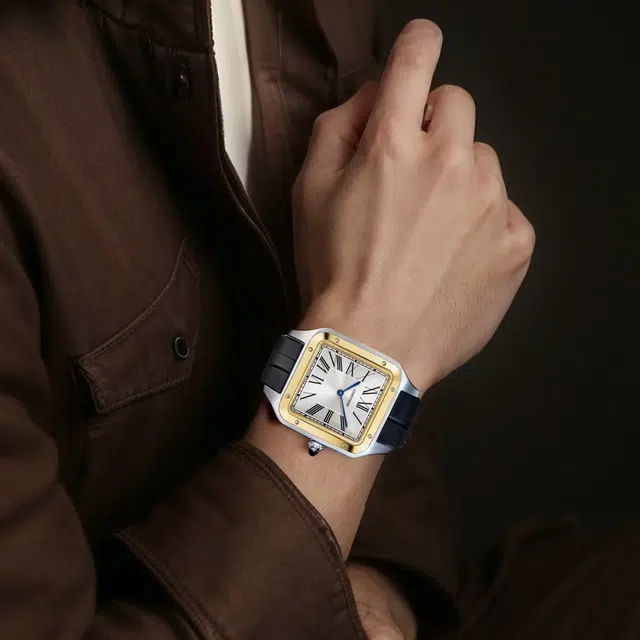 CARTIER 30 46.6*33.9mm