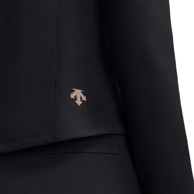 DESCENTE SKI STYLE logo