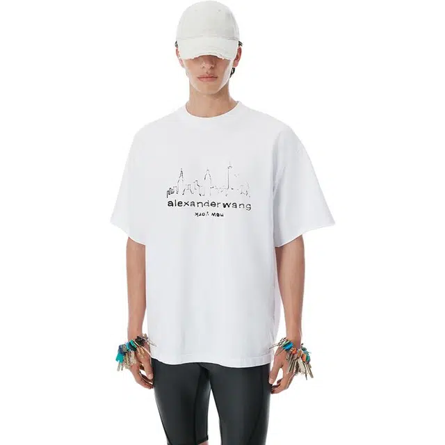alexander wang T