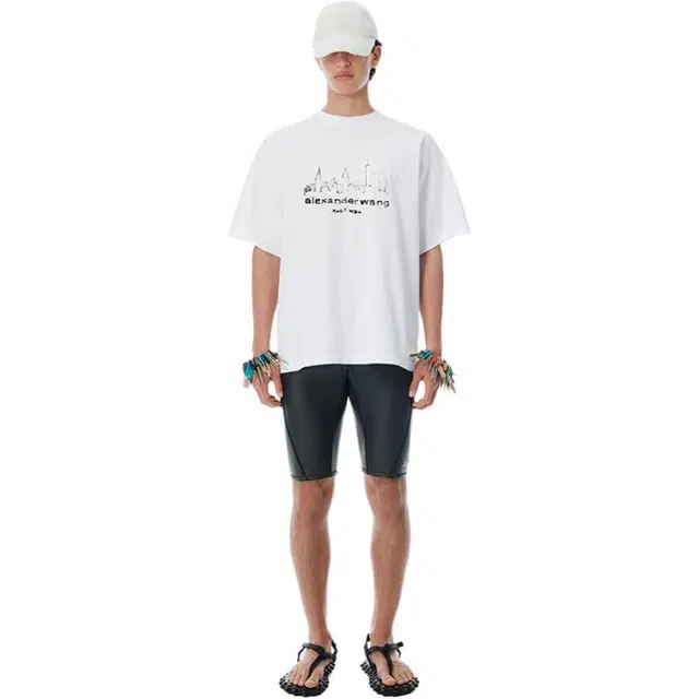 alexander wang T