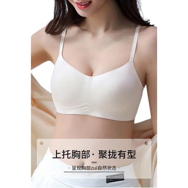 新世家族 舒适透气防滑简约文胸 女款