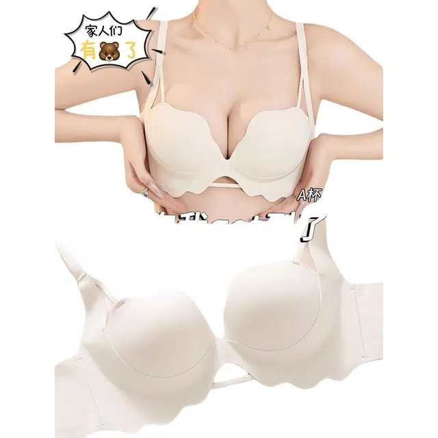 新世家族 舒适透气美背立体文胸 女款