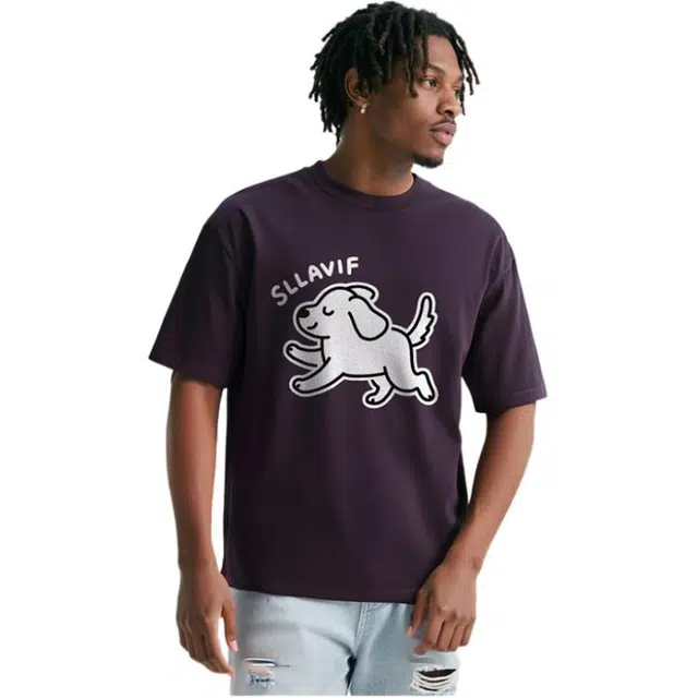 SLLAVIF T