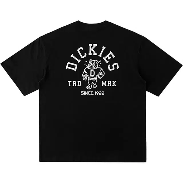 Dickies s logo T DK0A87MK