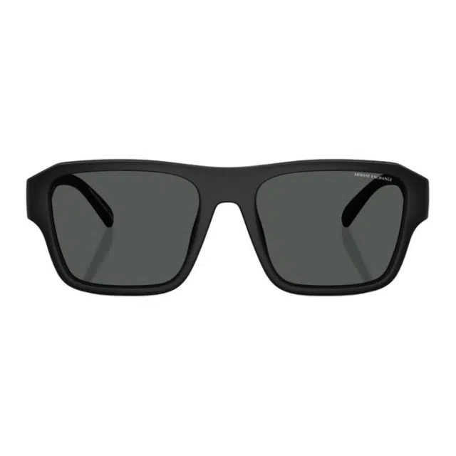 ARMANI EXCHANGEAE Logo 4154SU