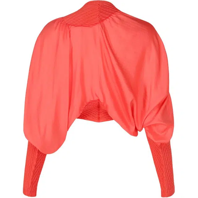 ISSEY MIYAKE FW25