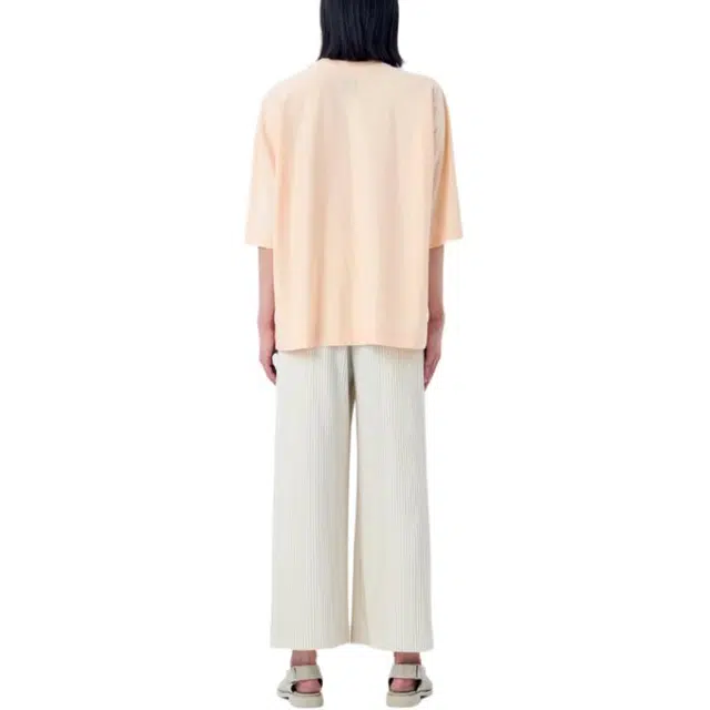 Homme Pliss Issey Miyake T