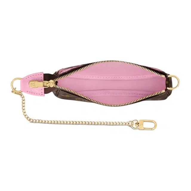 LOUIS VUITTON Pochette Accessories