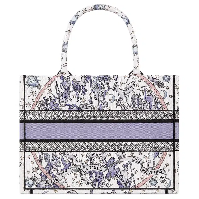 DIOR BookTote Tote