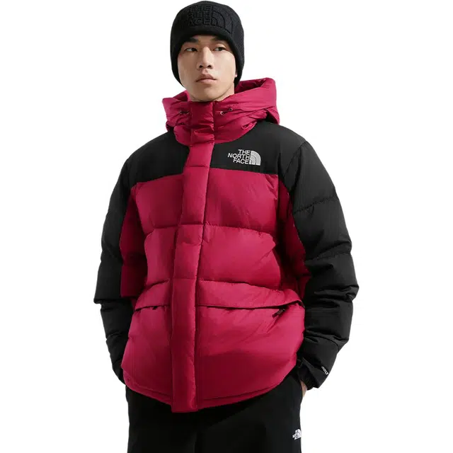 The North Face ICON Hmlyn Down Jacket