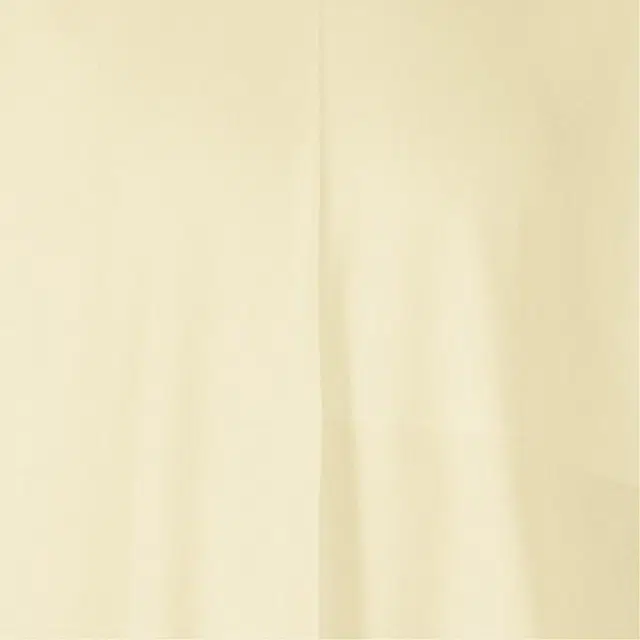 ISSEY MIYAKE SS25 T