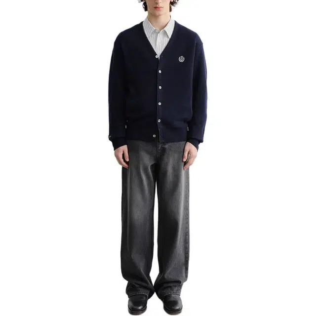 Dunst FW25 V