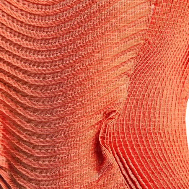 ISSEY MIYAKE FW25T