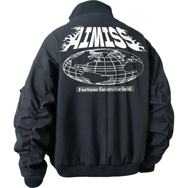 AIMISS Logo