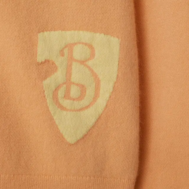 Burberry FW24 B