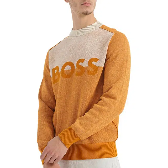 HUGO BOSS FW22 Logo